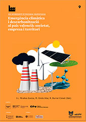VIII Workshop d
