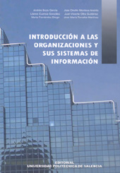 INTRODUCCIÓN A LAS ORGANIZACIONES Y SUS SISTEMAS DE INFORMACIÓN