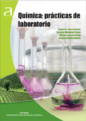 QUÍMICA: PRÁCTICAS DE LABORATORIO